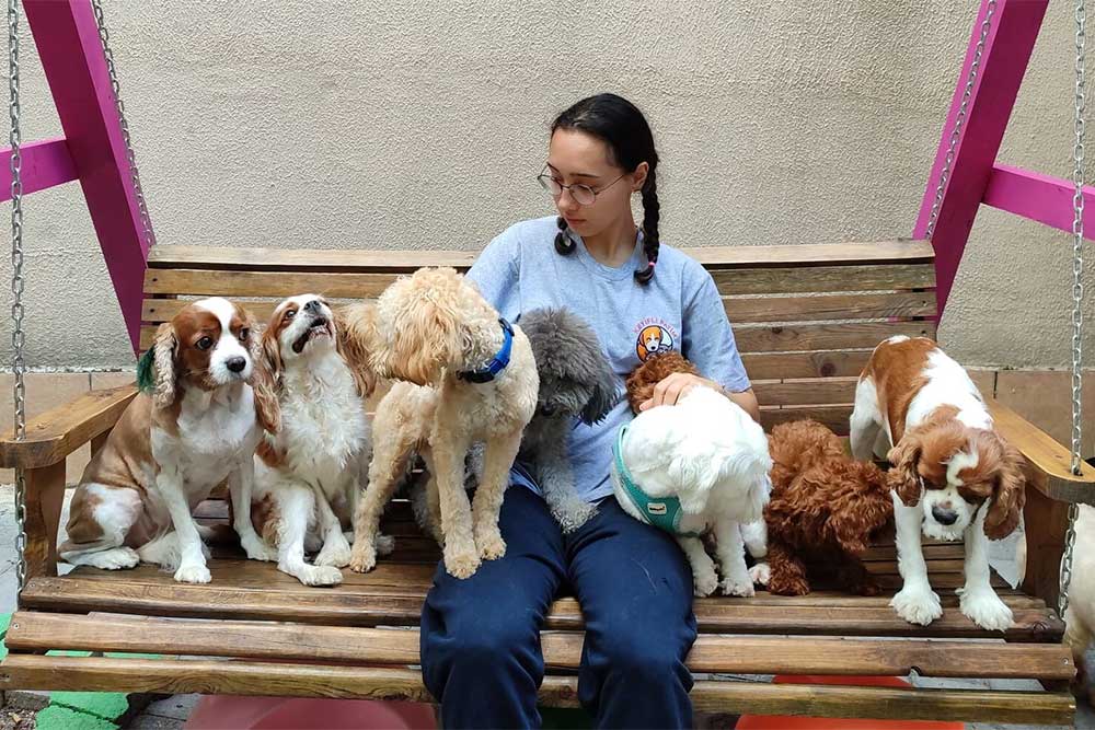 Keyifli Patim Pet Oteli'nde Genç Nesil Devri: Bilge Sağol Görevde